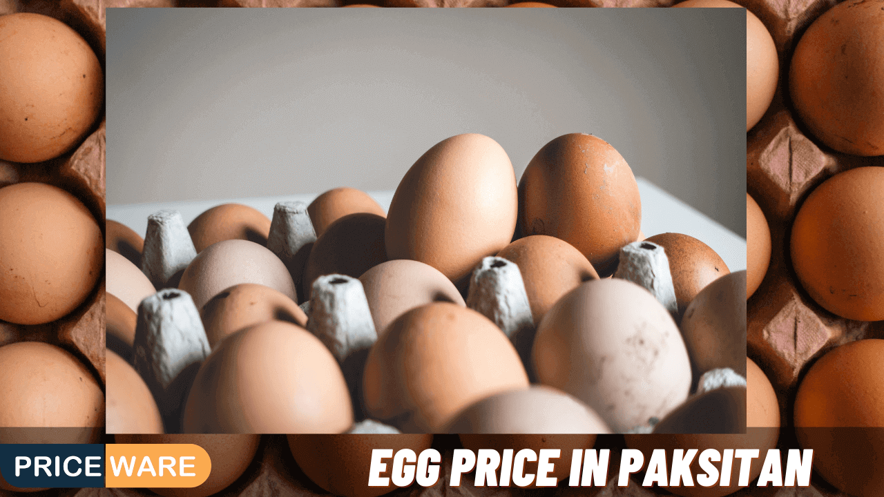 Egg Price in Pakistan