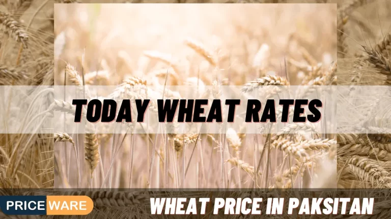 Wheat Price in Pakistan Today | Gandum Rate 2024