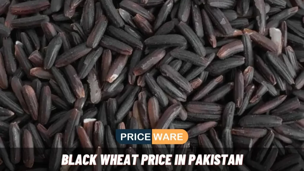 Black Wheat Price in Pakistan