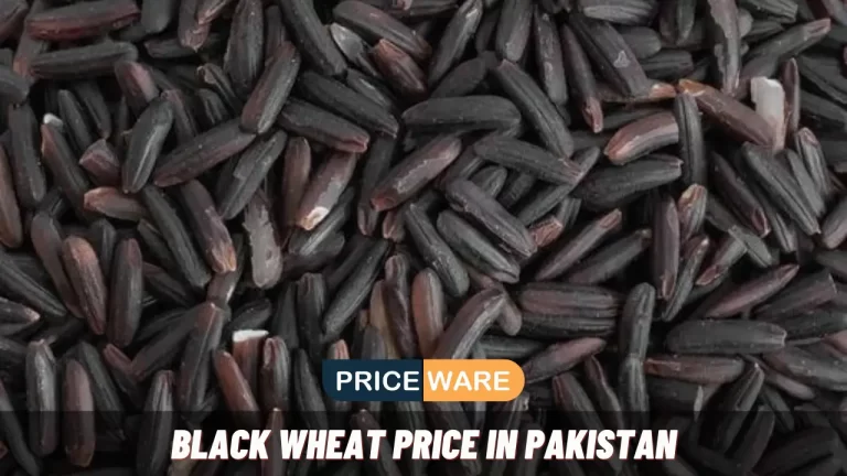 Black Wheat Price in Pakistan Today 2024 | 1 KG Rates