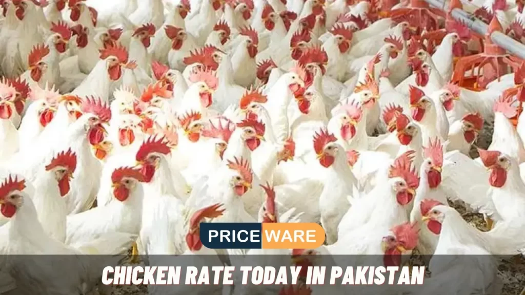 Chicken Rate Today in Pakistan