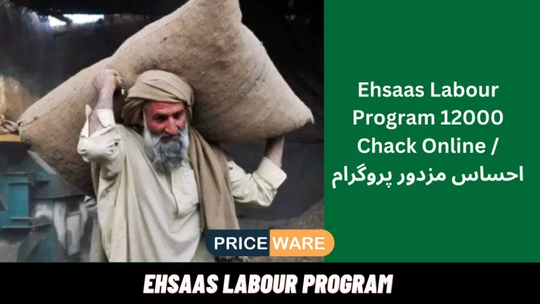 How to Register For Ehsaas Labour Program 12000 Online in 2024