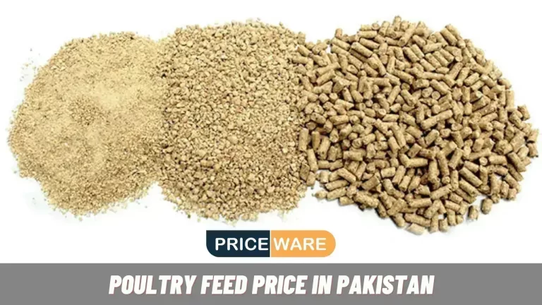 Poultry Feed Price in Pakistan Today 2024 | Chicken Feed Rates
