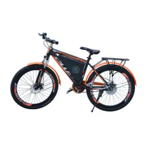 Electric Bicycle Price in Pakistan