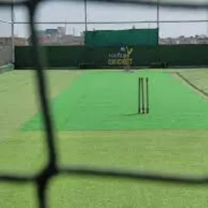The Rooftop Cricket